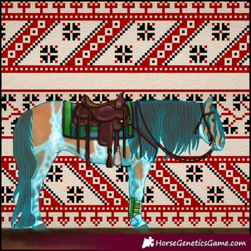 Horse Color:Thunderstruck Bay 