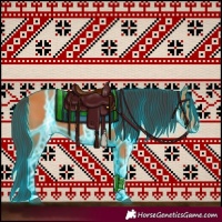 Horse Color:Thunderstruck Bay 