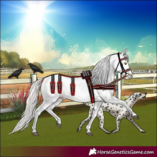 Horse Color:Silver Bay Roan Dun Snowflake Varnish Rabicano 