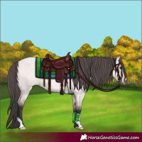 Horse Color:Platinum Bay Roan Dun 