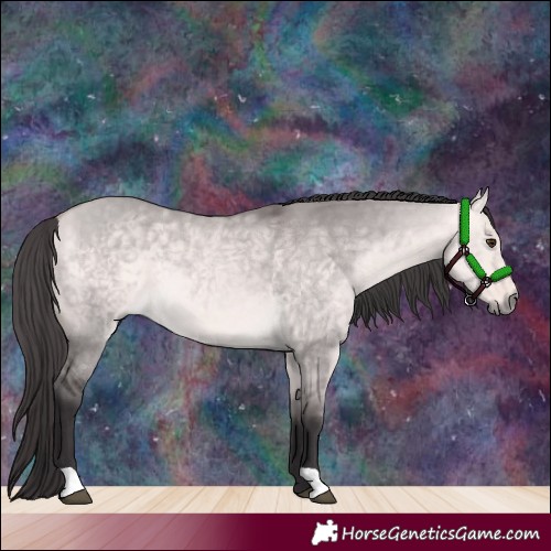 Horse Color:Platinum Buckskin Dun 