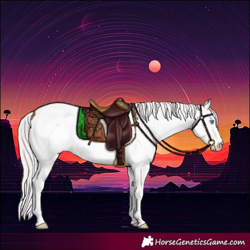 Horse Color:Platinum Perlino Roan Dun 