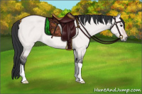 Horse Color:Platinum Bay Dun 
