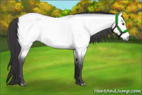 Horse Color:Platinum Buckskin Roan Dun 