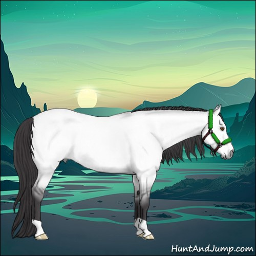 Horse Color:Platinum Buckskin Dun 