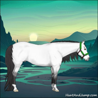Horse Color:Platinum Buckskin Dun 