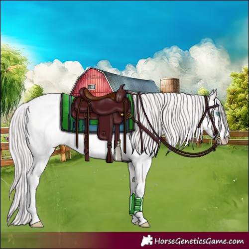 Horse Color:Platinum Perlino Roan 