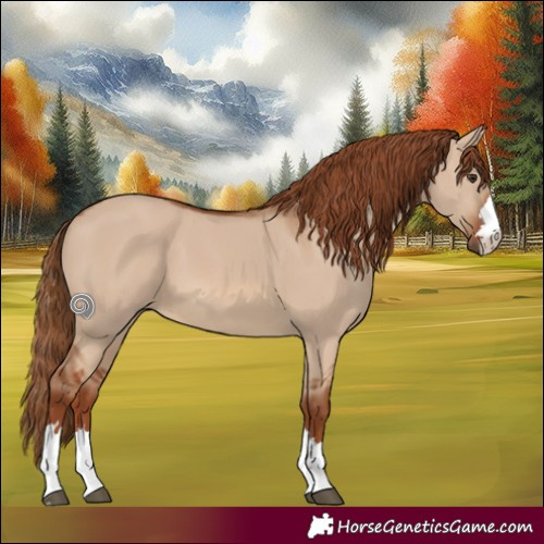 Horse Color:Red Dun 