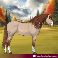 Horse Color:Red Dun 