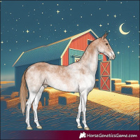 Horse Color:White Spotted Chestnut 