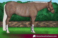 Horse Color:Silver Black Rabicano 