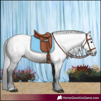 Horse Color:Gray Brown 