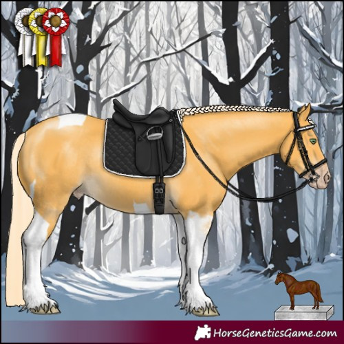 Horse Color:Gold Cream Champagne Tobiano Rabicano 