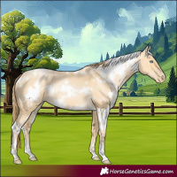 Horse Color:White Spotted Buckskin Pearl 