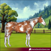 Horse Color:White Spotted Silver Bay Splash 