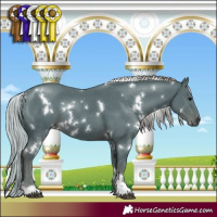 Horse Color:Watercolor White Spotted Silver Black 