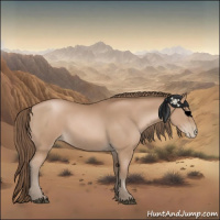 Horse Color:Black Pearl Sabino 