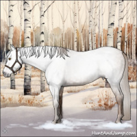 Horse Color:Gray Blue Roan Pearl Sabino 