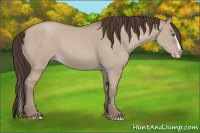 Horse Color:Classic Champagne Dun Splash 