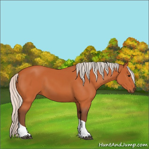 Horse Color:Silver Bay Tobiano 