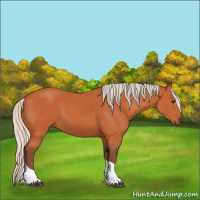 Horse Color:Silver Bay Tobiano