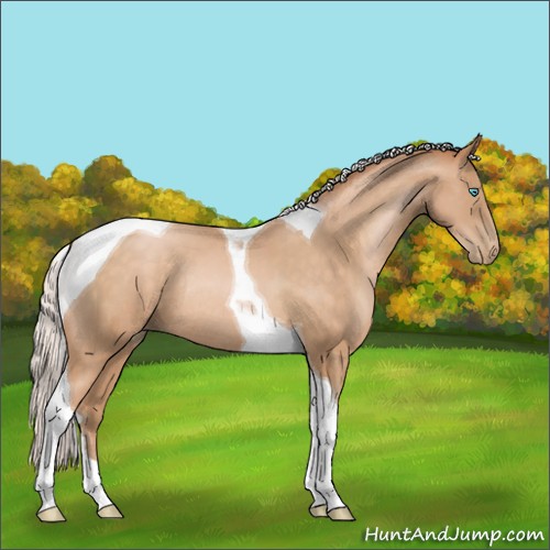 Horse Color:Silver Buckskin Pearl Tobiano Rabicano