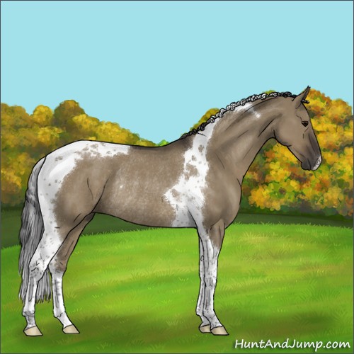 Horse Color:Smoky Grullo Tobiano Rabicano