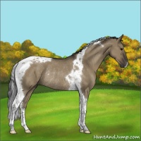Horse Color:Smoky Grullo Tobiano Rabicano