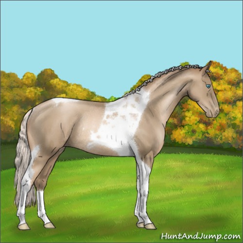 Horse Color:Silver Smoky Black Pearl Tobiano Rabicano 