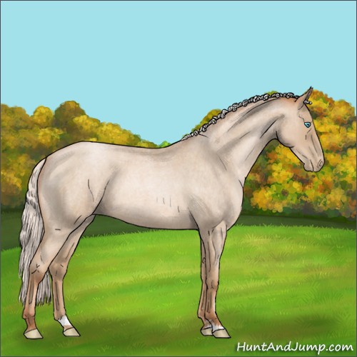Horse Color:Silver Buckskin Roan Pearl Sabino Rabicano 