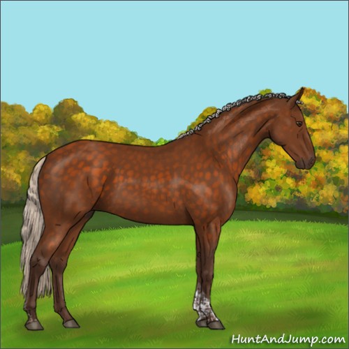 Horse Color:Silver Buckskin Tobiano Rabicano 