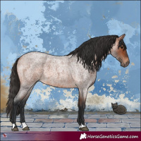 Horse Color:Bay Roan 