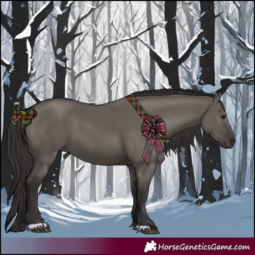 Horse Color:Smoky Grullo