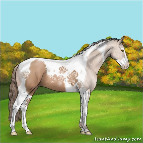 Horse Color:Black Pearl Sabino Tobiano 