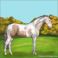Horse Color:Black Pearl Sabino Tobiano