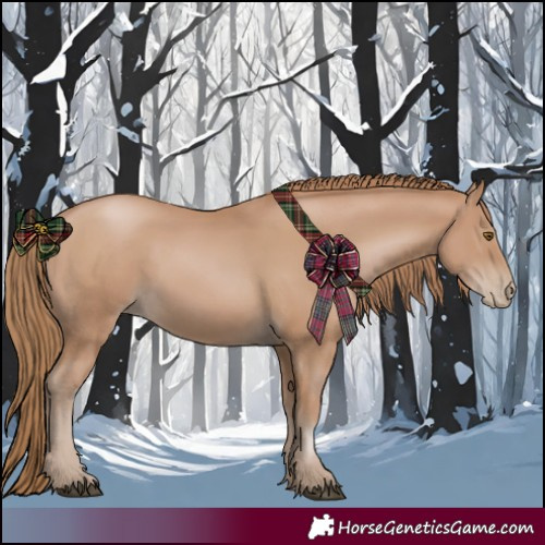 Horse Color:Black Pearl Sabino