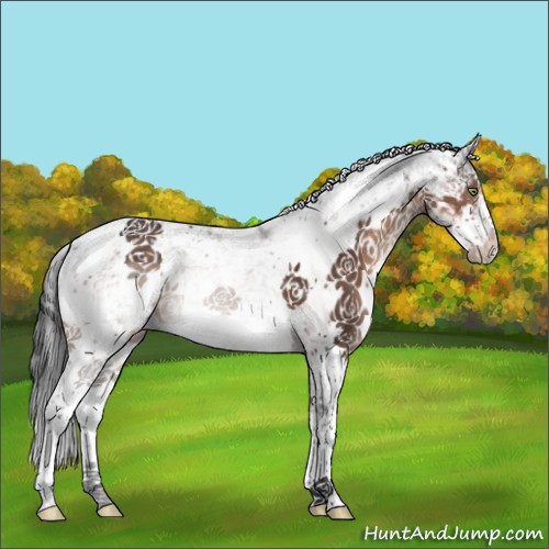 Horse Color:Brown Sabino