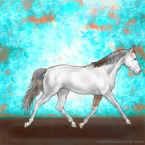 Horse Color:Black Pearl Sabino 