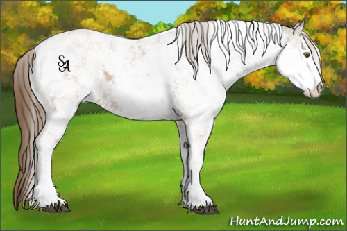 Horse Color:Black Pearl Sabino 