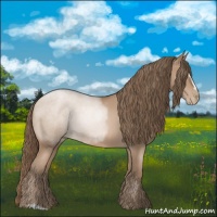Horse Color:Blue Roan Pearl Sabino
