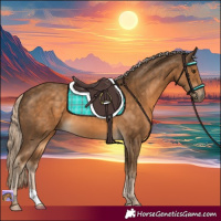 Horse Color:Chocolate Palomino 