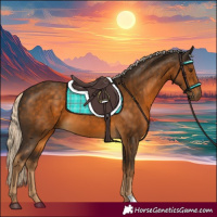 Horse Color:Chocolate Palomino