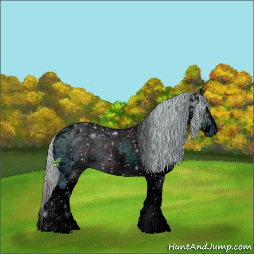 Horse Color:ERROR: UNKNOWN ANOMALY