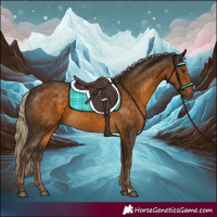 Horse Color:Chocolate Palomino 