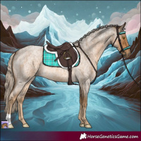 Horse Color:Chocolate Palomino Roan