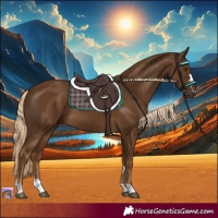 Horse Color:Chocolate Palomino 