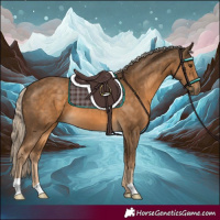 Horse Color:Chocolate Palomino 