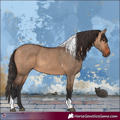 Horse Color:Bay Dun Tobiano