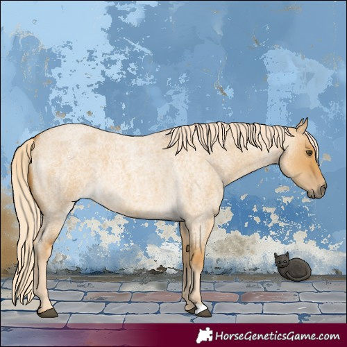 Horse Color:Palomino Roan Dun 