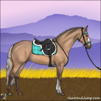 Horse Color:Silver Brown Dun 